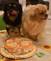 Click to view album: 25.10.2023 - Karkulka a Jenny slaví narozeniny