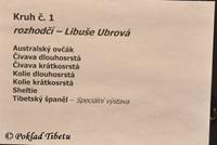 Click to view album: 11.10.2014 - Speciální klubová výstava Litoměřice